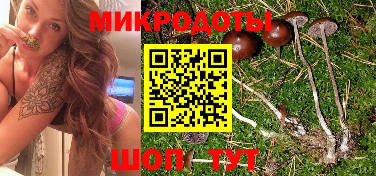 Галлюциногенные грибы прущие грибы  Вход с VPN  Воткинск 